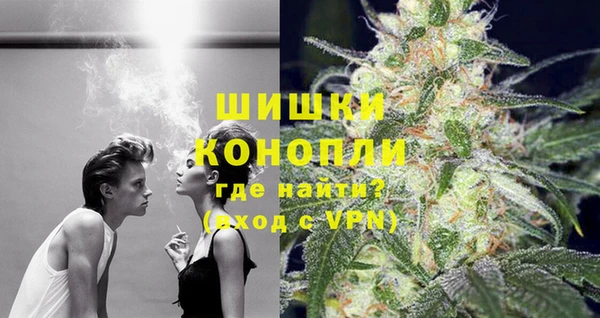 молекула духа Вязьма