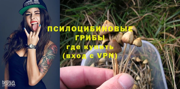дмт Балахна