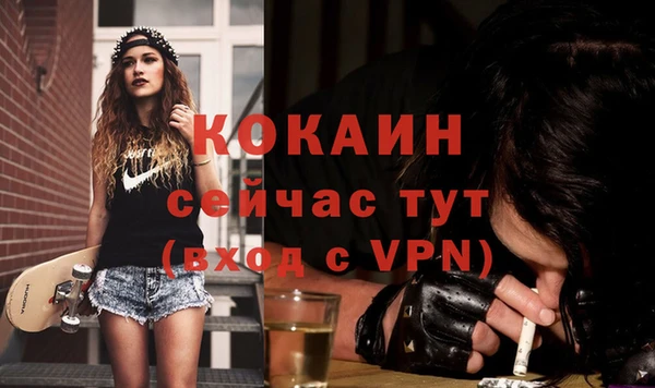 ешки Богданович